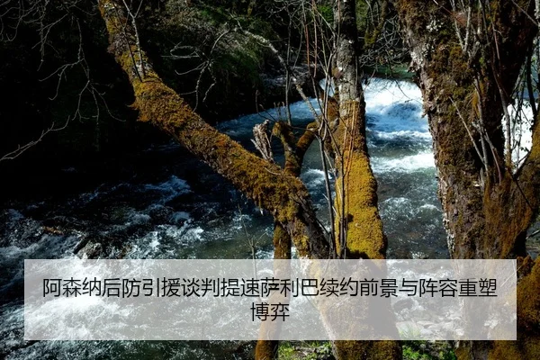 阿森纳后防引援谈判提速萨利巴续约前景与阵容重塑博弈